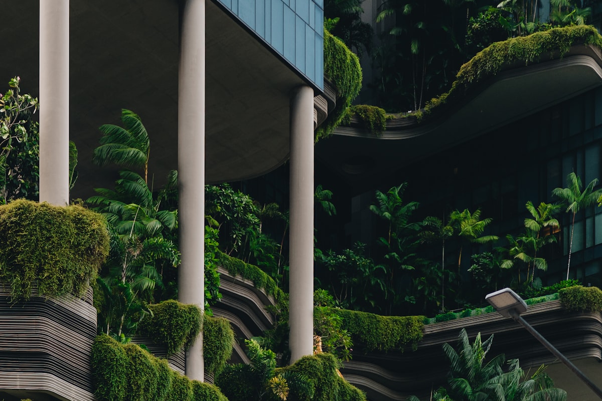 Edificio con columnas y vegetación exuberante